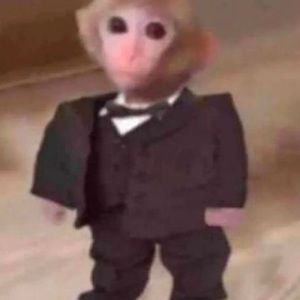 Meet your Posher, Xavier